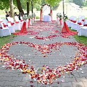 Свадебный организатор  Ваш Праздник, Брест - фото 3