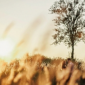 Фотограф Антон Коноплицкий, Брест - фото 2