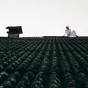 Фотограф Миша Шутеев, Брест - фото 3