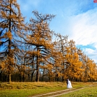 Сергей Бобров